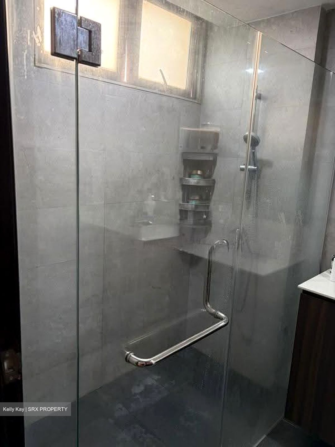 Rafflesia Condominium (D20), Condominium #609203851